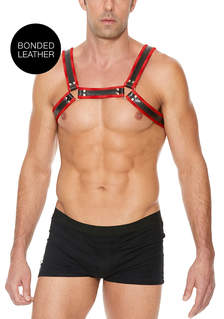 Buckle Bulldog Harness - L/XL - Red